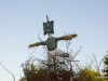 2014 Sonnwendfeuer Schambach Kids