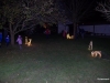 2014 Pfarrstadl Adventsmarkt